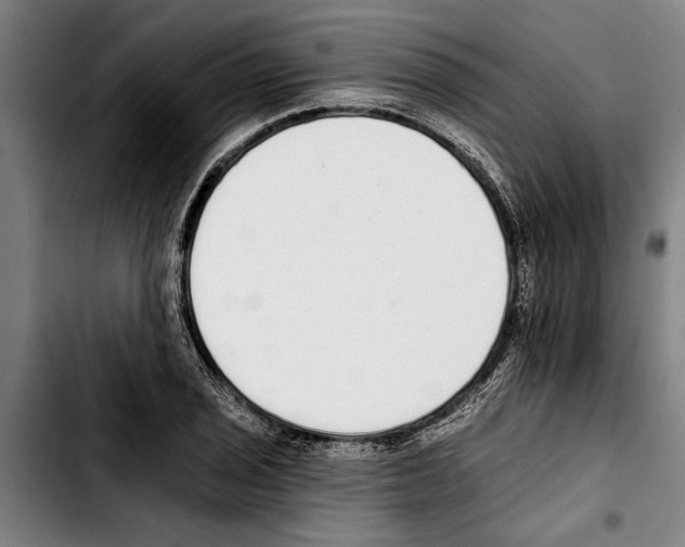 X0000103401029200810241006