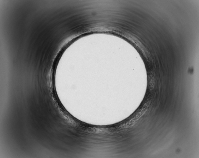 X0000103401030200810241006