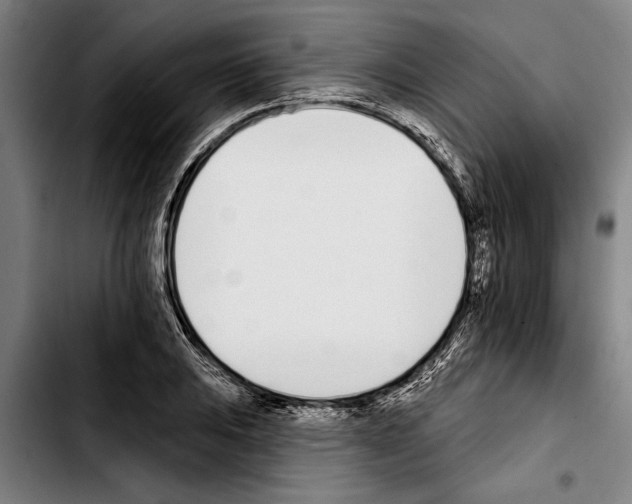 X0000103401031200810241006