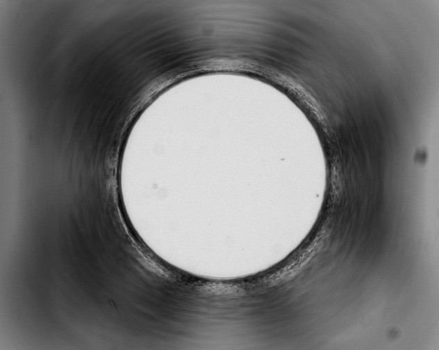 X0000103401033200810241006