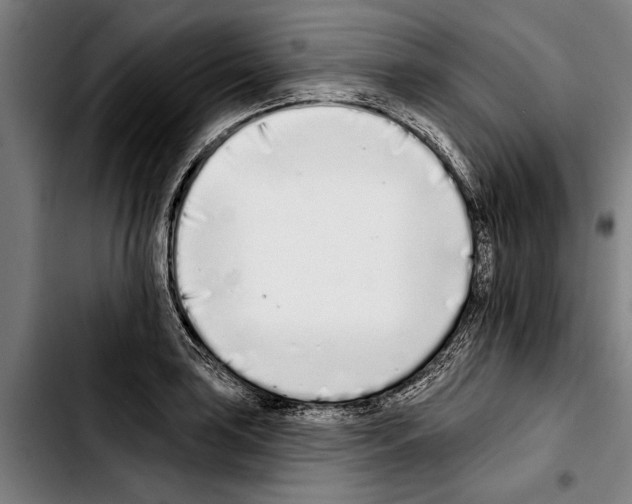 X0000103401035200810241006