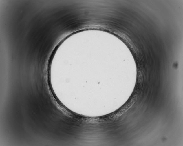 X0000103401038200810241006