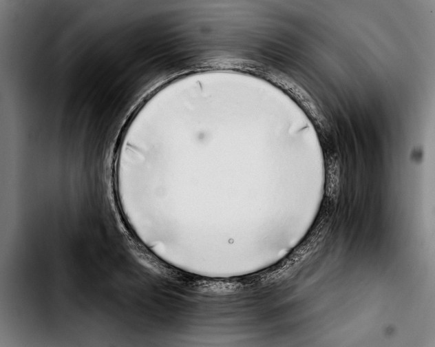 X0000103401039200810241006