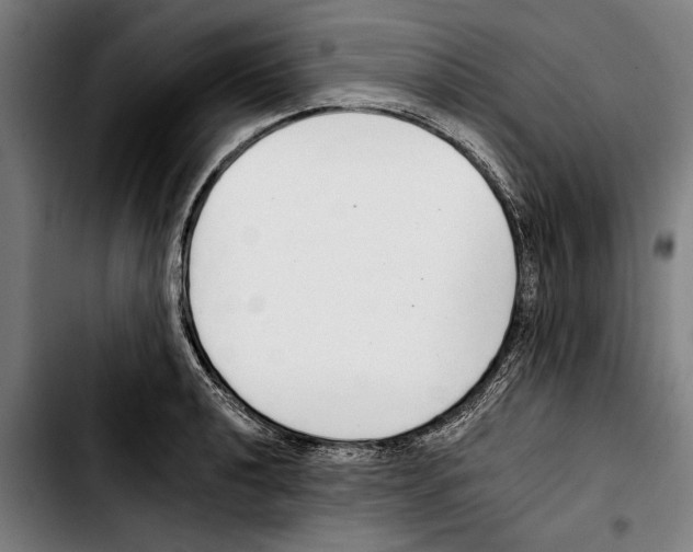 X0000103401040200810241006