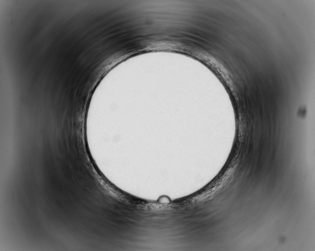 X0000103401041200810241006