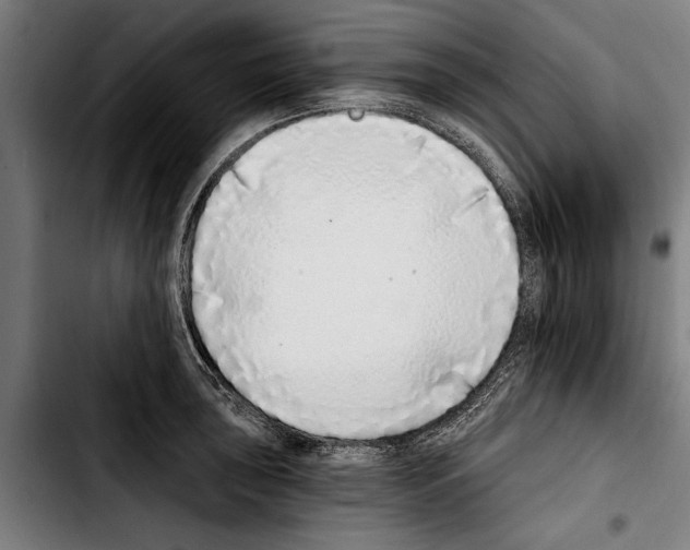 X0000103401043200810241006