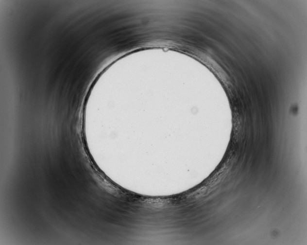 X0000103401044200810241006