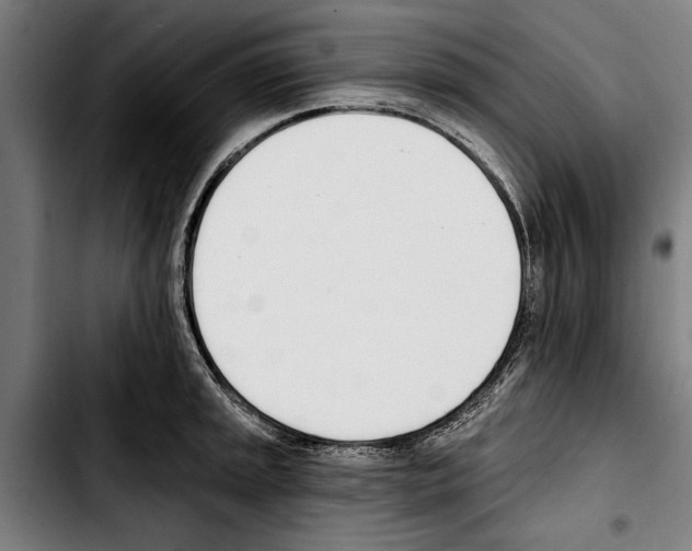 X0000103401045200810241006