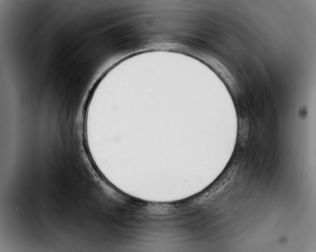 X0000103401046200810241006