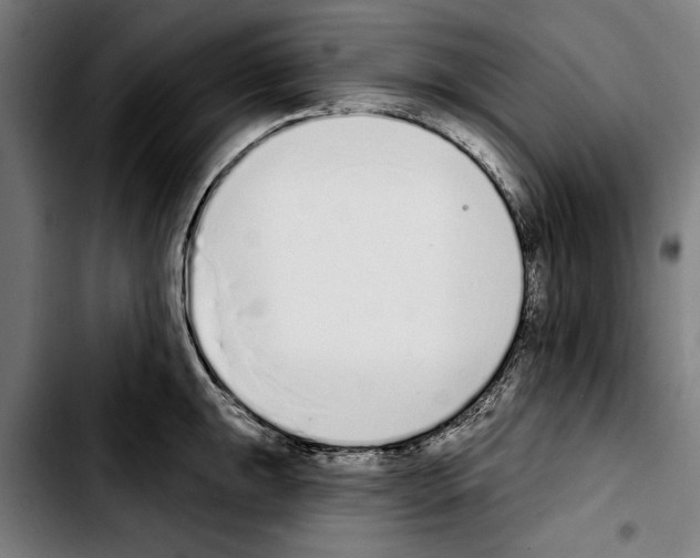 X0000103401047200810241006