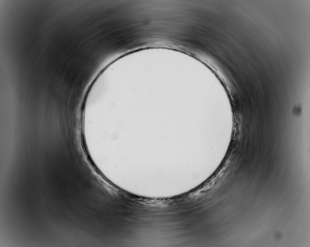 X0000103401048200810241006