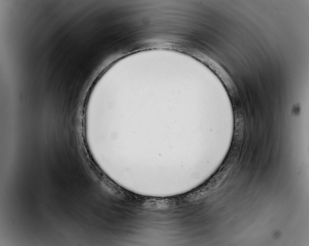 X0000103401051200810241006