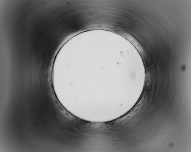 X0000103401052200810241006