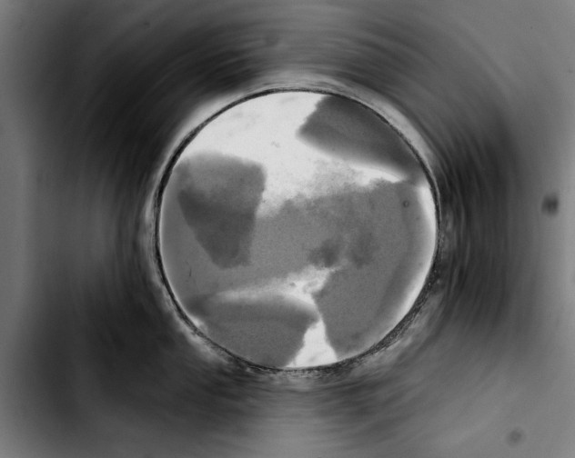 X0000103401053200810241006