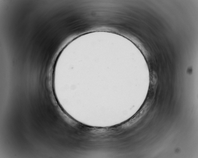 X0000103401054200810241006