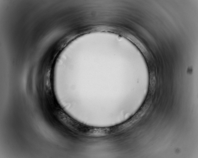 X0000103401055200810241006