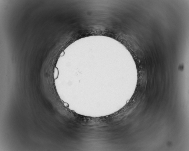 X0000103401057200810241006