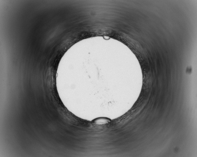 X0000103401058200810241006