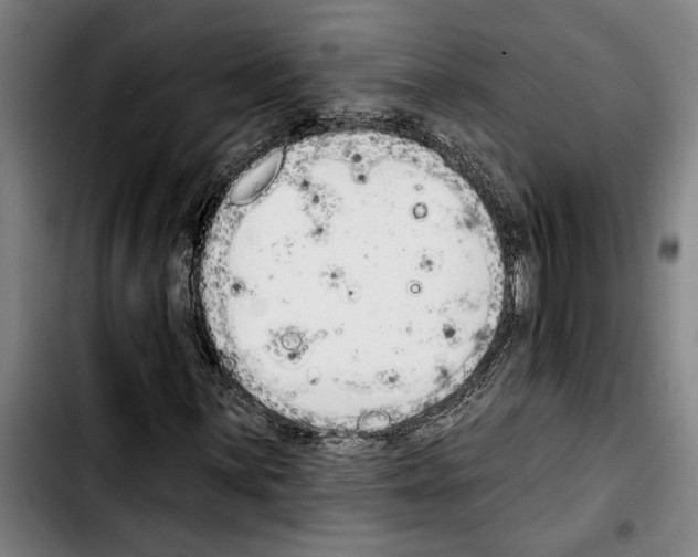 X0000103401059200810241006