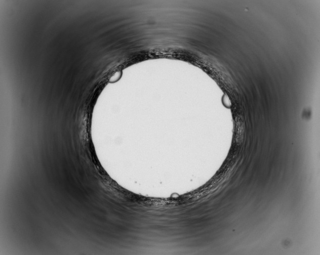 X0000103401060200810241006