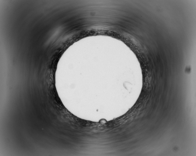 X0000103401062200810241006