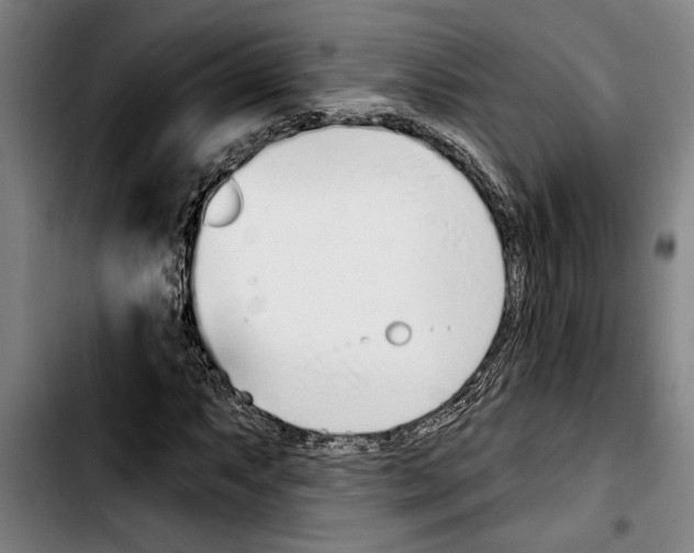 X0000103401063200810241006