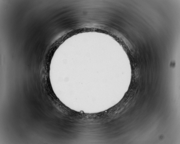 X0000103401064200810241006