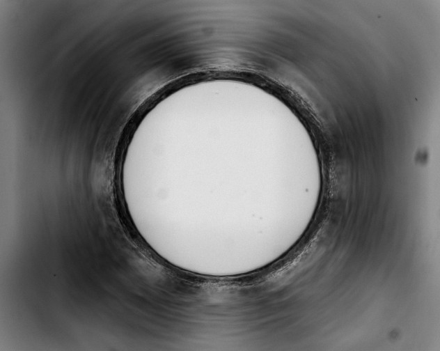 X0000103401065200810241006