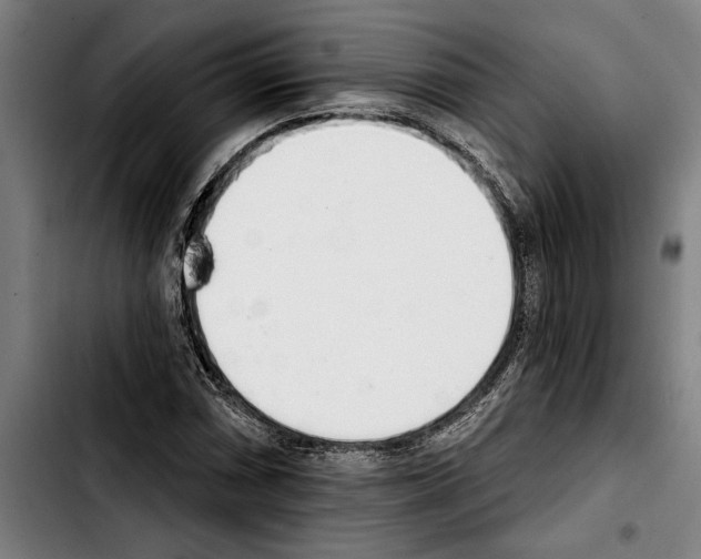 X0000103401066200810241006