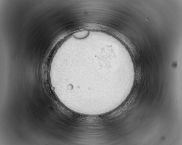 X0000103401067200810241006