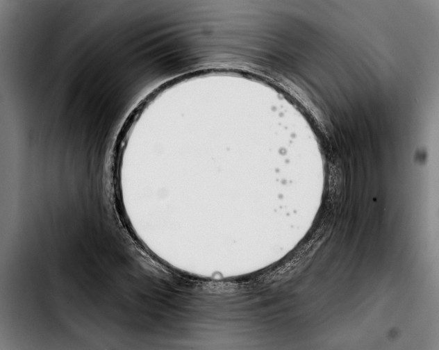 X0000103401068200810241006