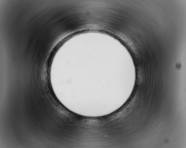 X0000103401070200810241006