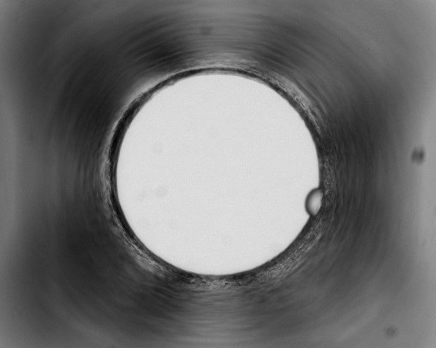 X0000103401072200810241006