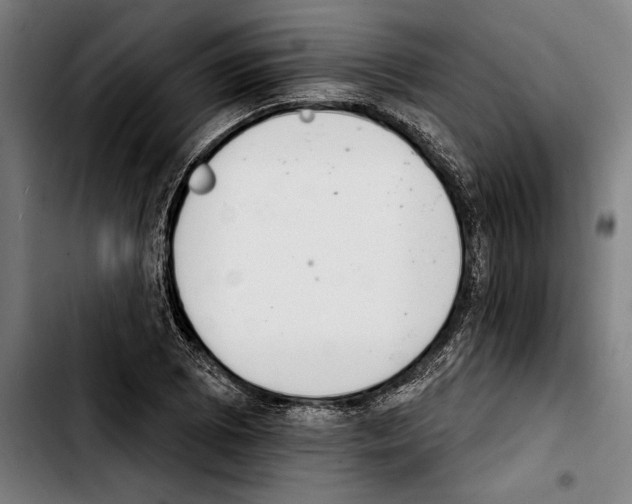 X0000103401073200810241006