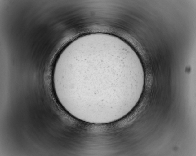 X0000103401074200810241006