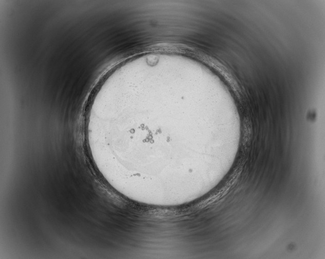 X0000103401075200810241006