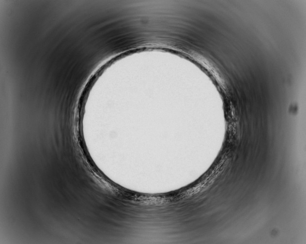 X0000103401076200810241006