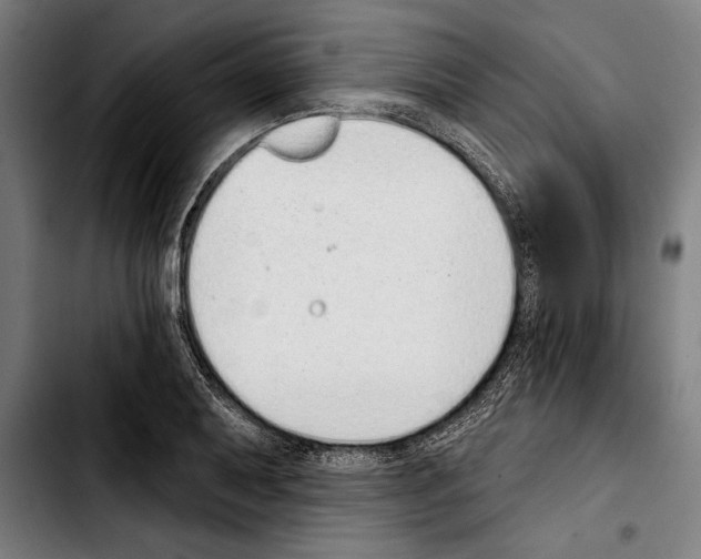 X0000103401079200810241005