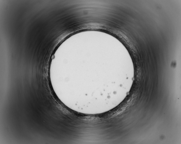 X0000103401081200810241005