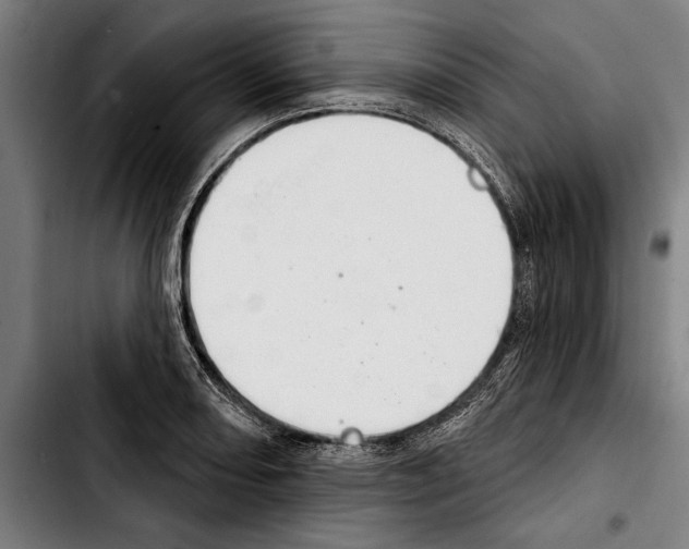 X0000103401082200810241005