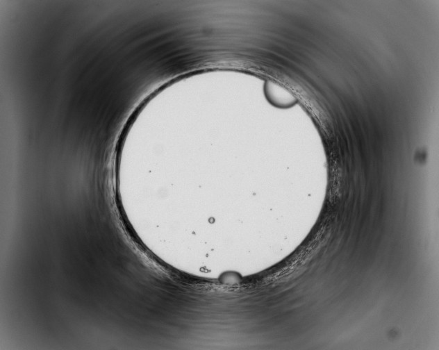 X0000103401084200810241005