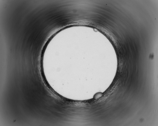 X0000103401085200810241005