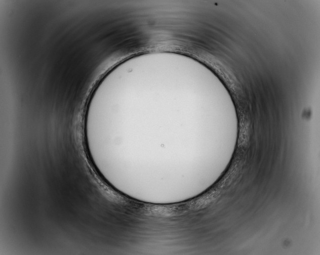 X0000103401086200810241005