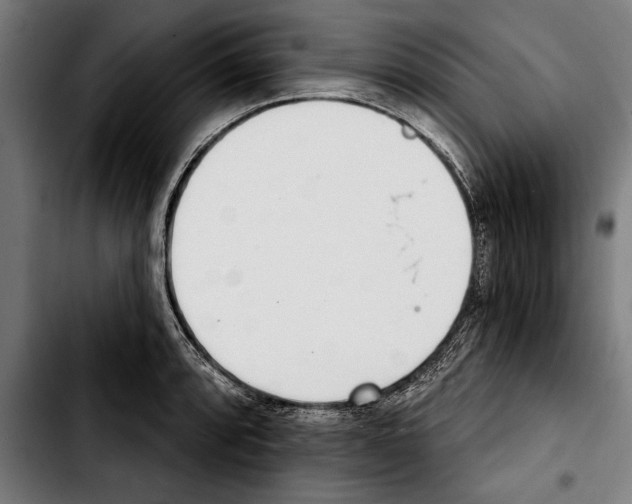 X0000103401088200810241005