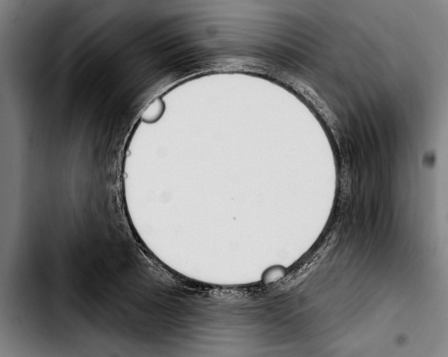 X0000103401089200810241005