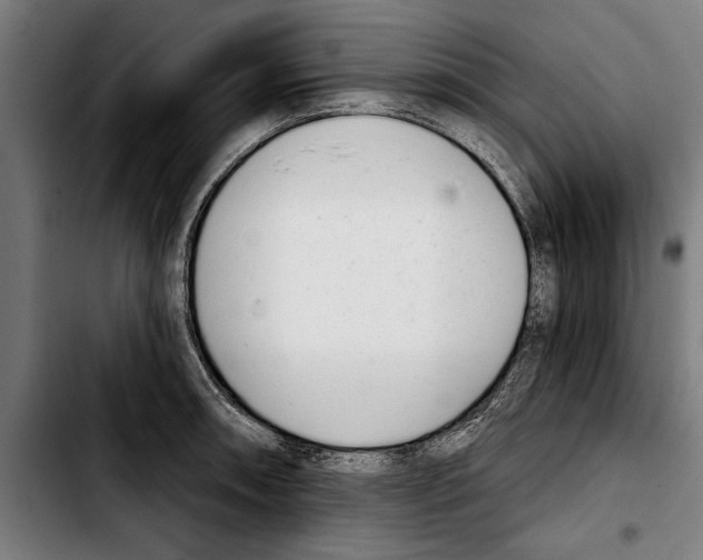 X0000103401090200810241005