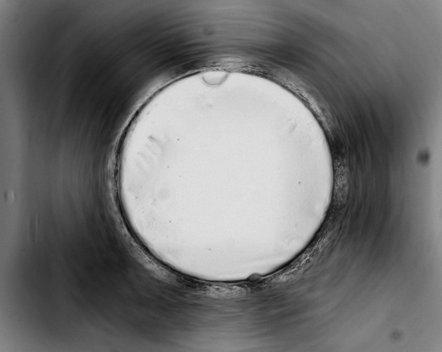 X0000103401091200810241005