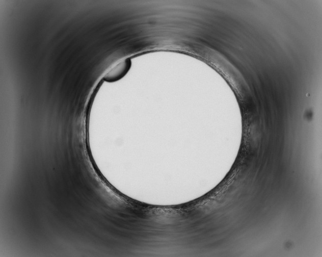 X0000103401092200810241005