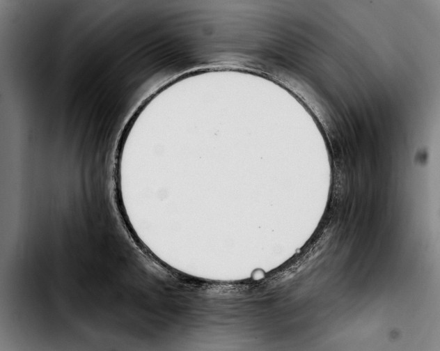 X0000103401093200810241005