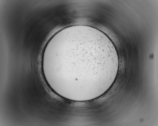 X0000103401094200810241005